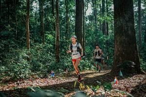 BIB: 
                            <button type="button" onclick="openModal(26080249)" class="btn btn-primary btn-sm float-right btn-popup" data-toggle="modal" data-target=".modal-high-quality">
                        <i class="fas fa-shopping-cart"></i> Add to Cart
                    </button>
                                            <button type="button" onclick="isThisMe(26080249, true)" class="btn btn-success btn-sm float-right btn-popup btn-isme hidden" data-toggle="tooltip" data-placement="bottom" title="นี่คือรูปของคุณใช่ไหม คลิกที่นี่เพื่อเอาเข้าอัลบั้ม">
                        <i class="fas fa-plus"></i> Add to album
                    </button>
                    <button type="button" onclick="isThisMe(26080249, false)" class="btn btn-warning btn-sm float-right btn-popup btn-isnotme hidden">
                        <i class="fas fa-ban"></i> Remove from album
                    </button>